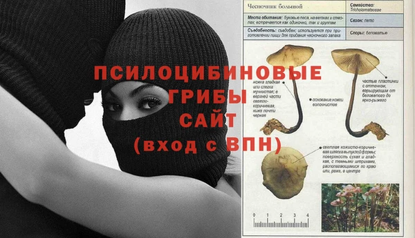 каннабис Магас