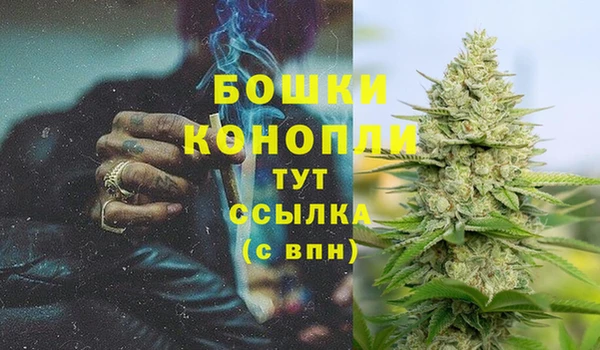 каннабис Магас