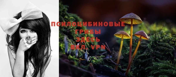 прущая мука Магадан
